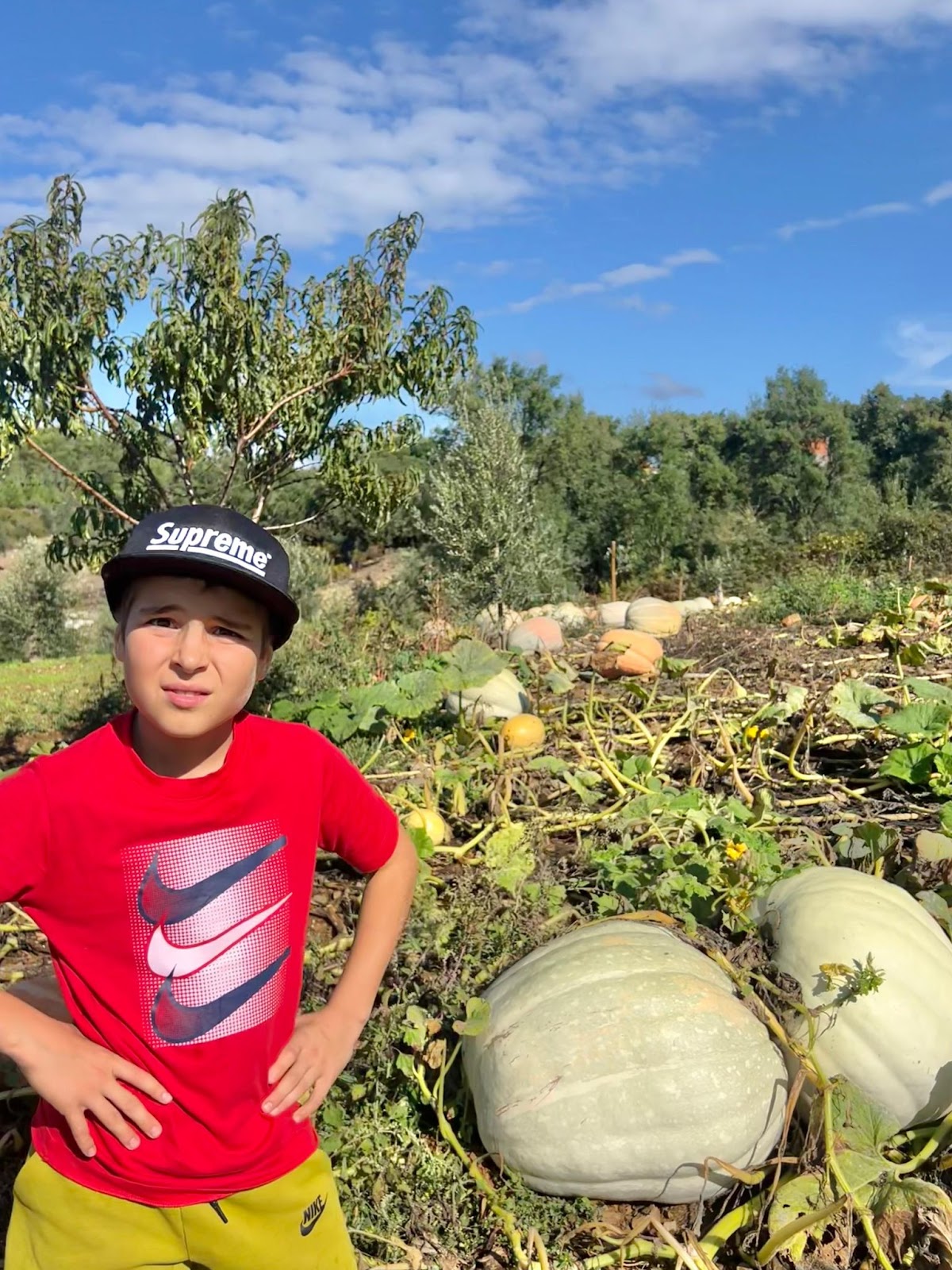 Julius standing on the farm in Portugal