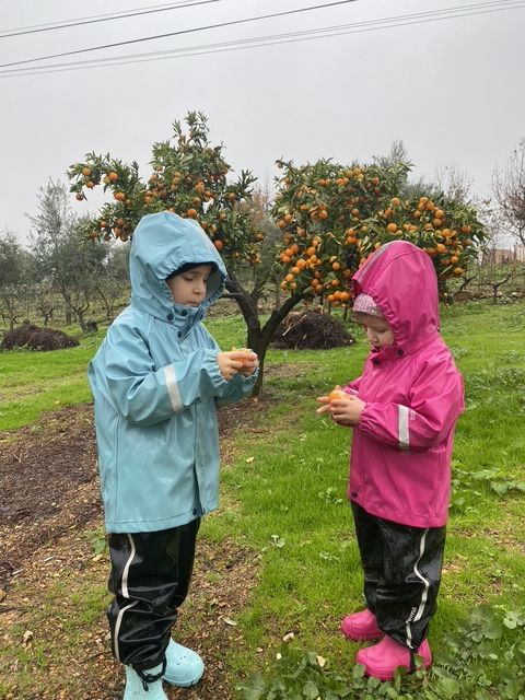 Children eating mandarins in the Portuguese countryside